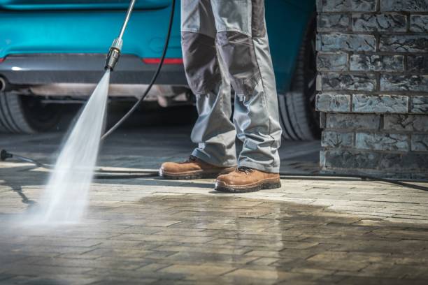 Best Winterizing Services  in Raymondville, TX