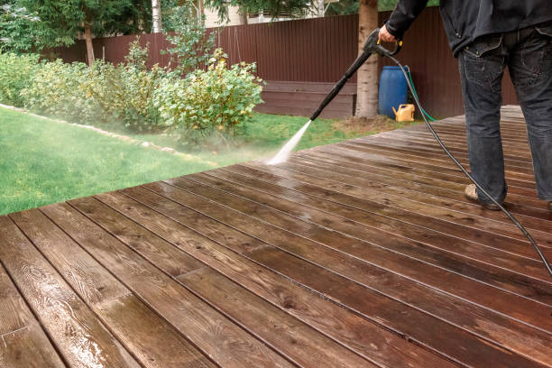Best Building Exterior Washing  in Raymondville, TX
