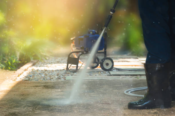Best Roof Washing  in Raymondville, TX